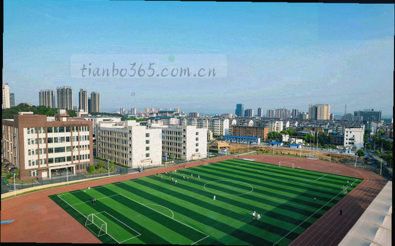 夜晚球场灯光与看台剪影，作为更新日志区域的背景氛围